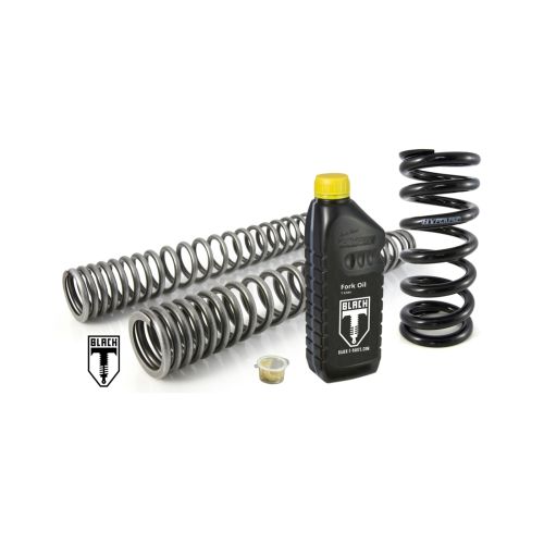 01-058-2069-0 BLACK-T Austauschfedern fuer BMW R 1200 CL (GREY SPR) 2004 - 