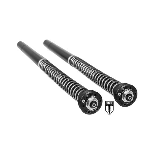 01-042-5840-0 Black-T Cartridge Kit Stage4 para BMW RnineT (2014-2020)