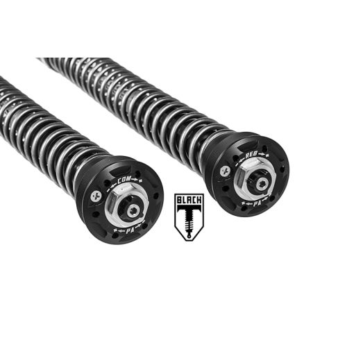 01-042-5840-0 Black-T Cartridge Kit Stage4 para BMW RnineT (2014-2020)